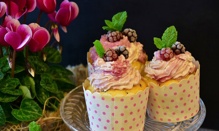 cupcake muffin cake candy