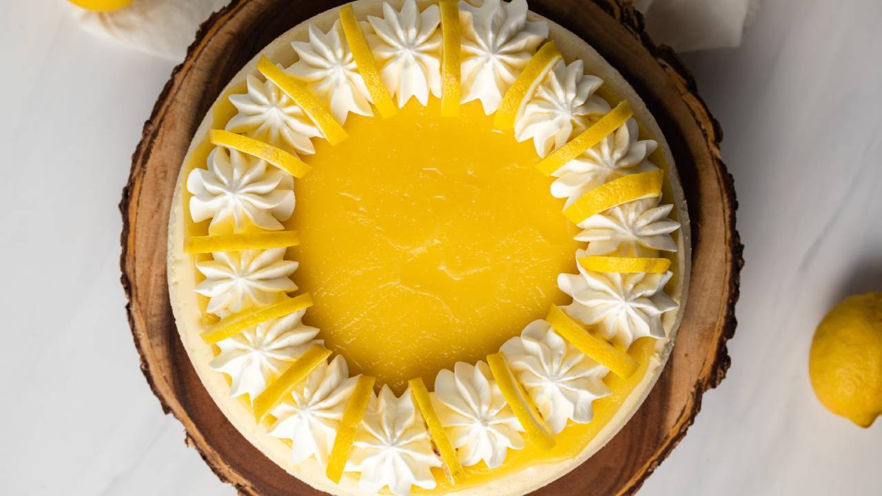 lemon cheesecake with whipped cream and lemon slice border
