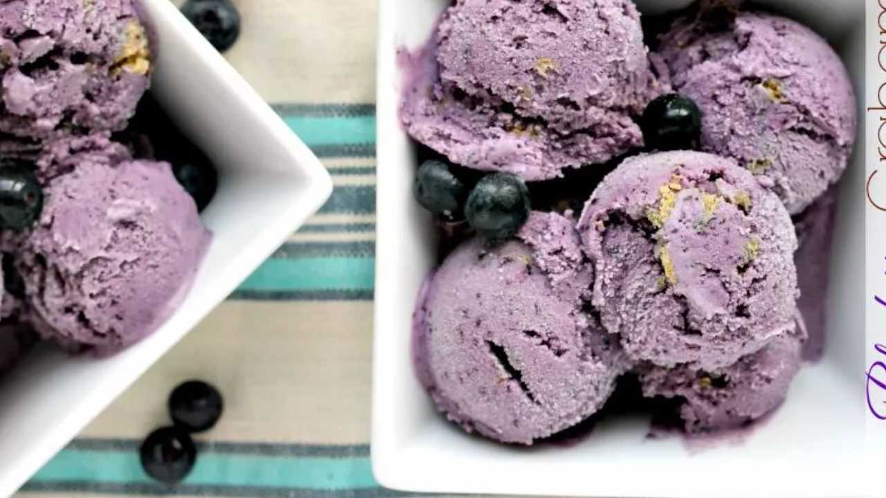 blueberry graham cracker ice cream