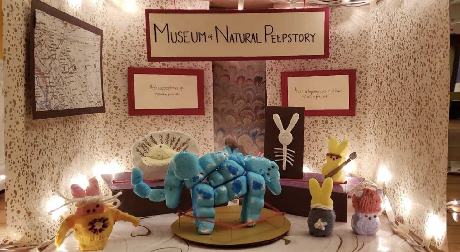 peeps made into the museum of natural peepstory